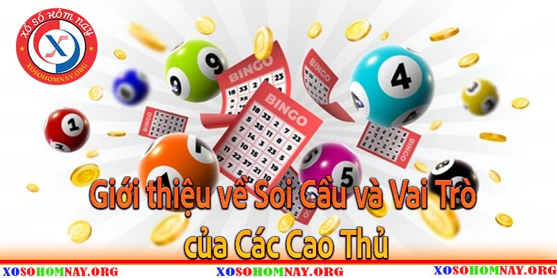 Bí Kíp Từ Các Cao Thủ Soi Cầu Đỉnh Cao